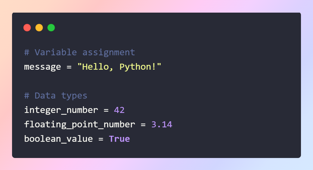 Python 기초 문법 이해하기